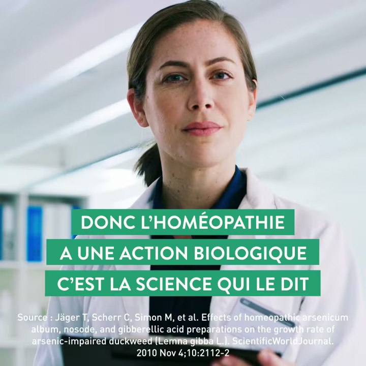 PLANTES ET HOMÉOPATHIE, action d’Arsenicum Album sur des lentilles intoxiquées.