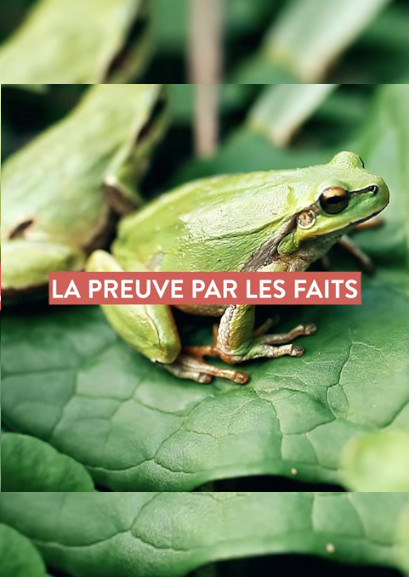 GRENOUILLES ET HOMÉOPATHIE La preuve par les faits